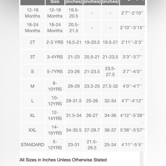 Butterfly Fairy Kids Costume - Teal and Black - Picture 11 of 11